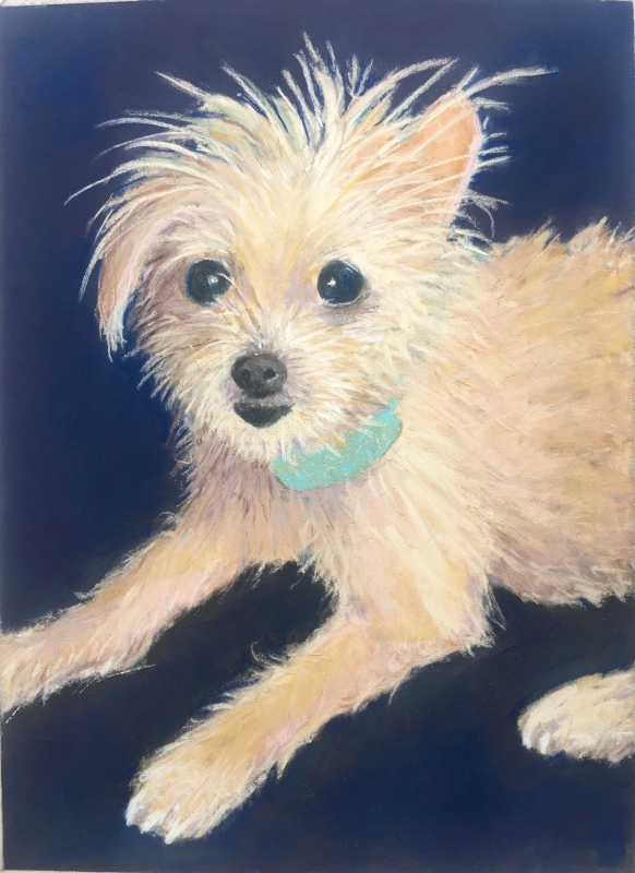 Sandy Biscuit by artist Jennifer Edwards